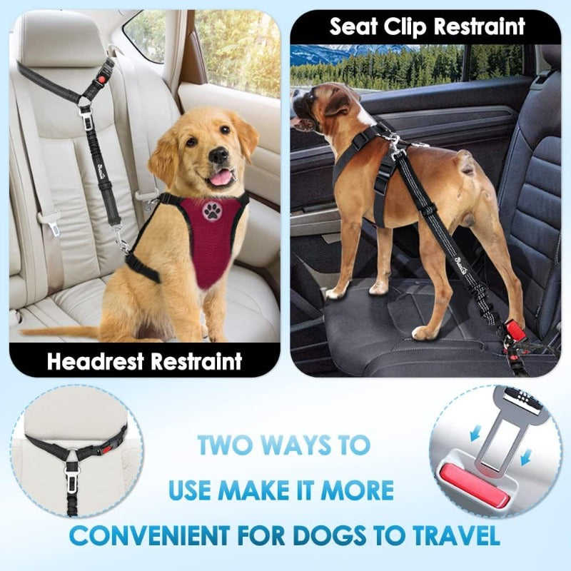 Shock-Absorbing Dog Car Restraint
