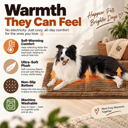 Self Warming Pet Bed