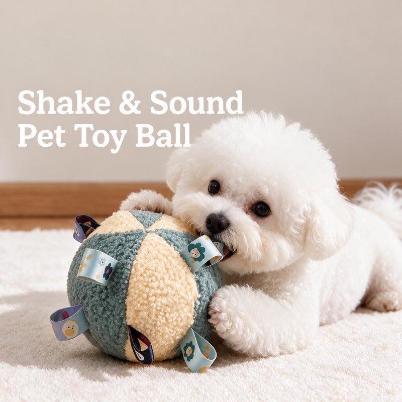 Ribbon Loop Squeaky Dog Ball