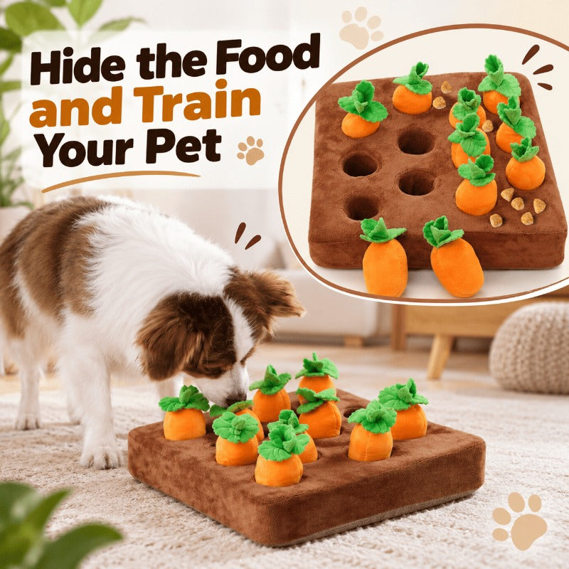 Interactive Carrot Snuffle Mat