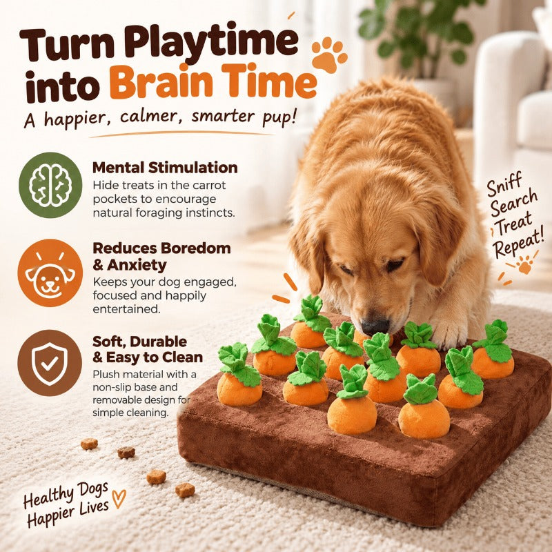 Interactive Carrot Snuffle Mat