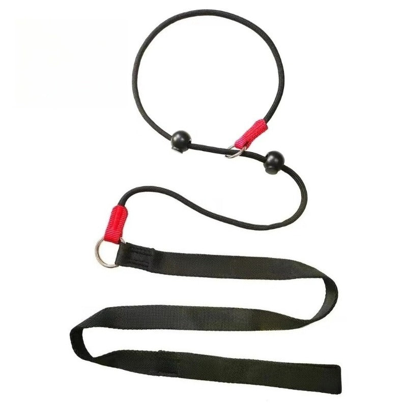 2-in-1 Slip-Lead Dog Leash – Training Collar & Walking Lead with Anti-Tangle Swivel