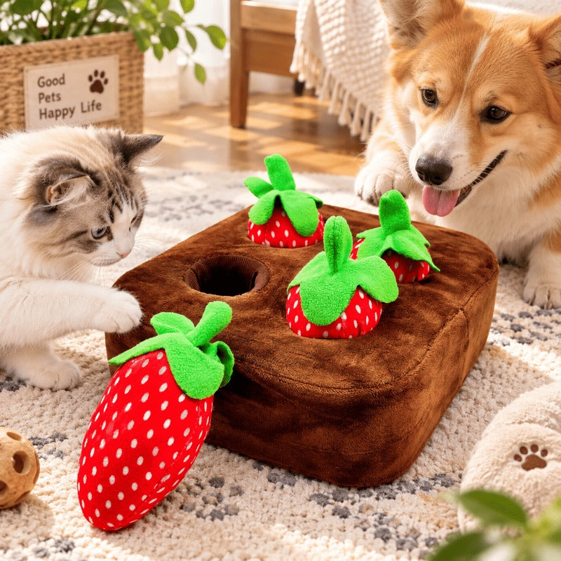 Interactive Carrot Snuffle Mat