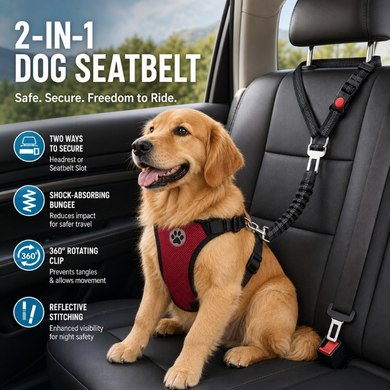 Shock-Absorbing Dog Car Restraint