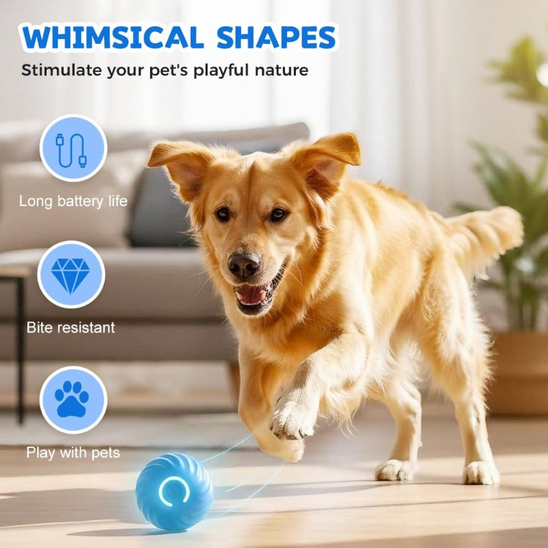 Electric Rolling Pet Toy Ball