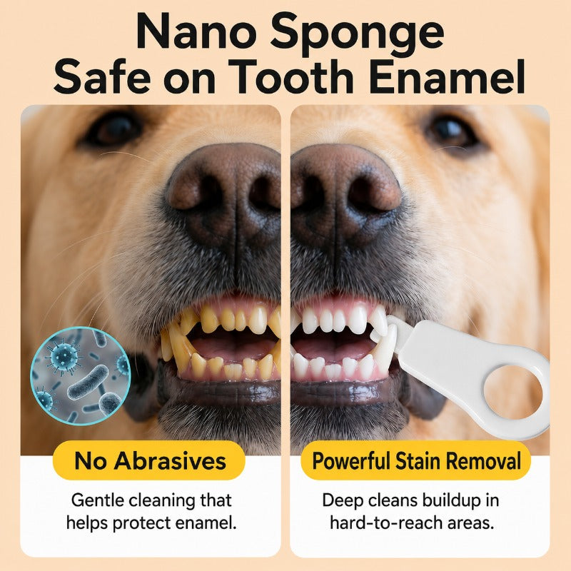 Nano Sponge Pet Tooth Cleaner