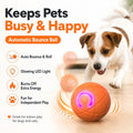 Interactive USB‑Rechargeable Bouncing Ball Toy for Dogs