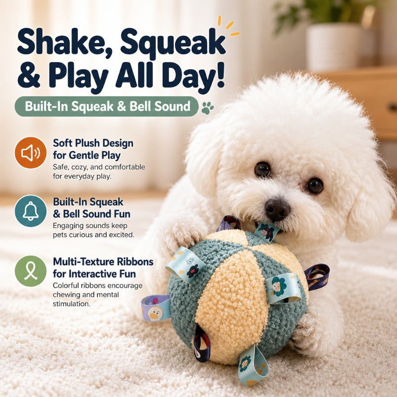 Ribbon Loop Squeaky Dog Ball