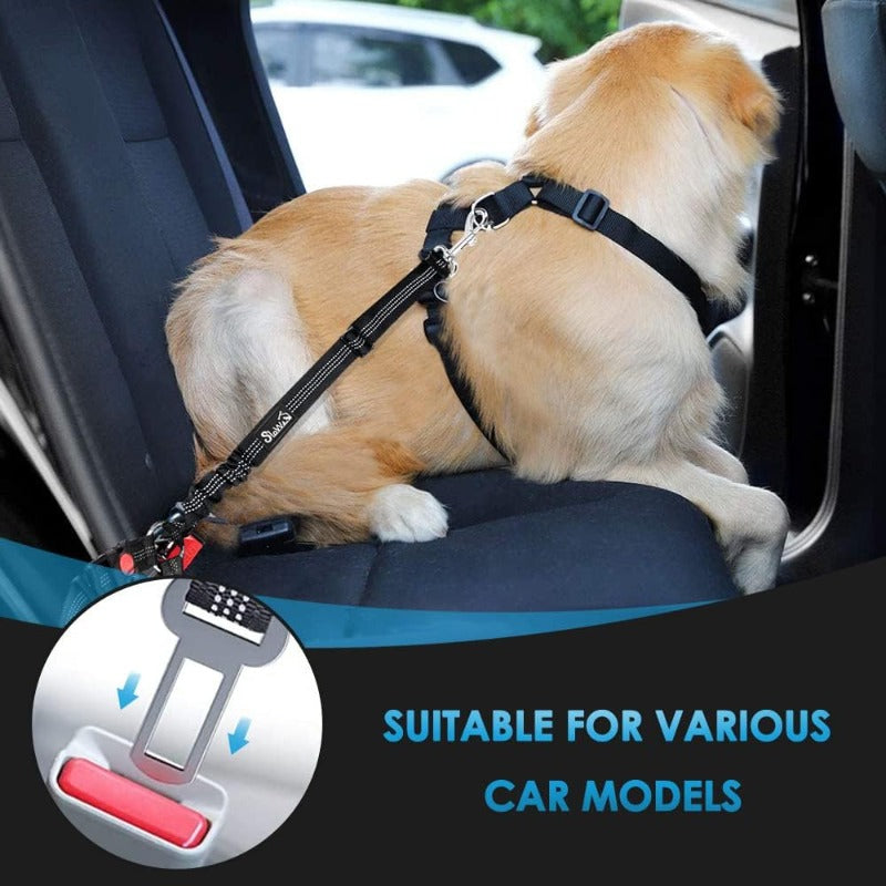 Shock-Absorbing Dog Car Restraint
