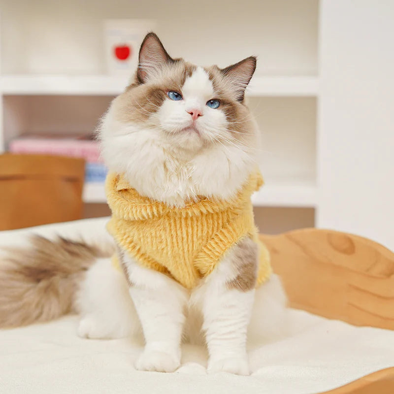 Cartoon Fleece Pet Hoodie