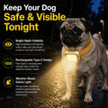 Weatherproof Dog Collar Warning Light