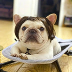Customizable Trim-to-Fit Pet Wig